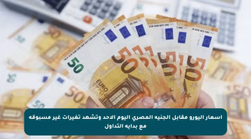 أسعار اليورو مقابل الجنيه المصري اليوم الأحد وتشهد تغيرات غير مسبوقة مع بداية التداول